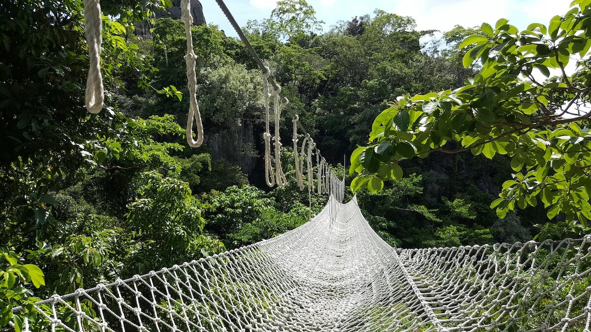 Safety Net